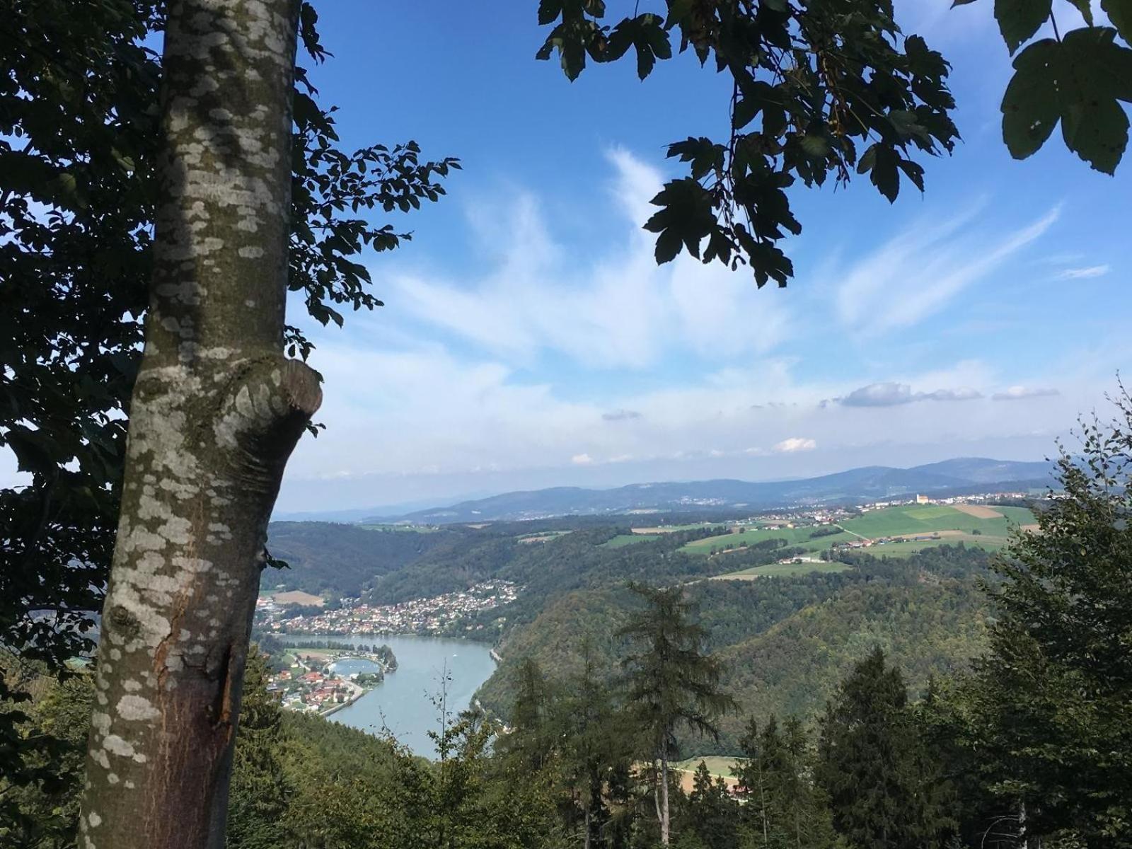 Stan'S Bed & Breakfast Untergriesbach Exterior foto